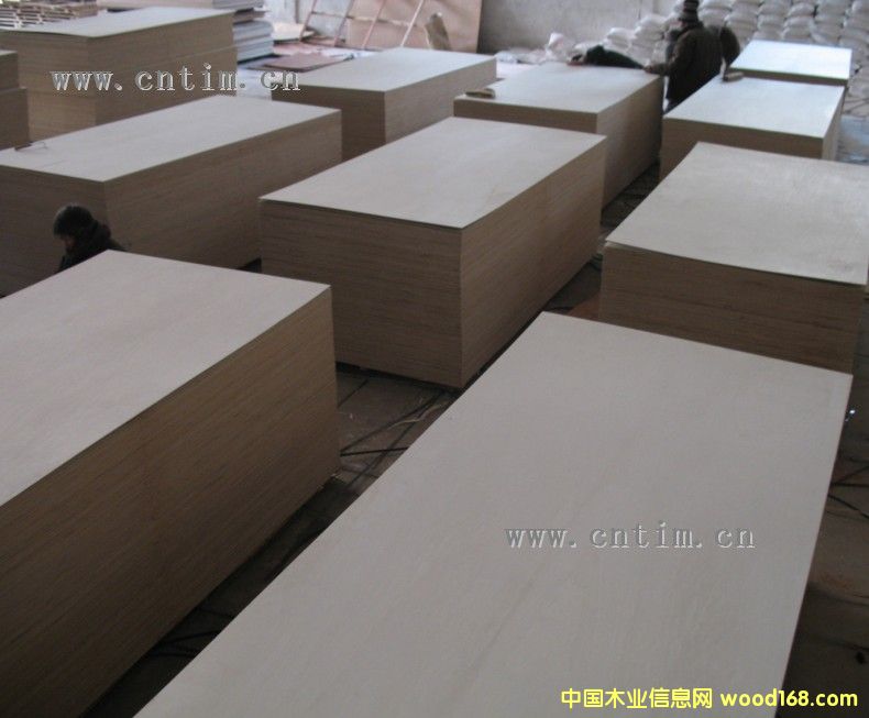 �c���鿴ȫ��ľ���ΰ�Ŵ�DƬ