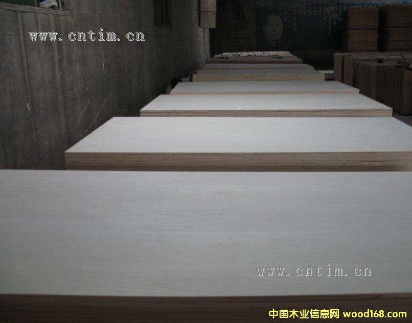 �c���鿴ȫ��ľ���Ӱ�A��Ŵ�DƬ