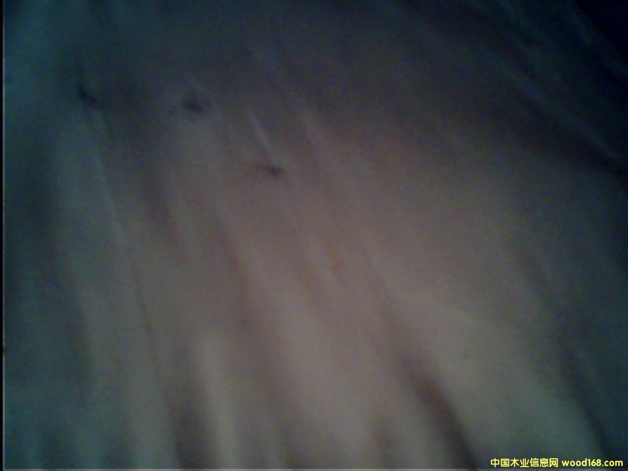 ��ľ��Ƥ��Ԕ����B