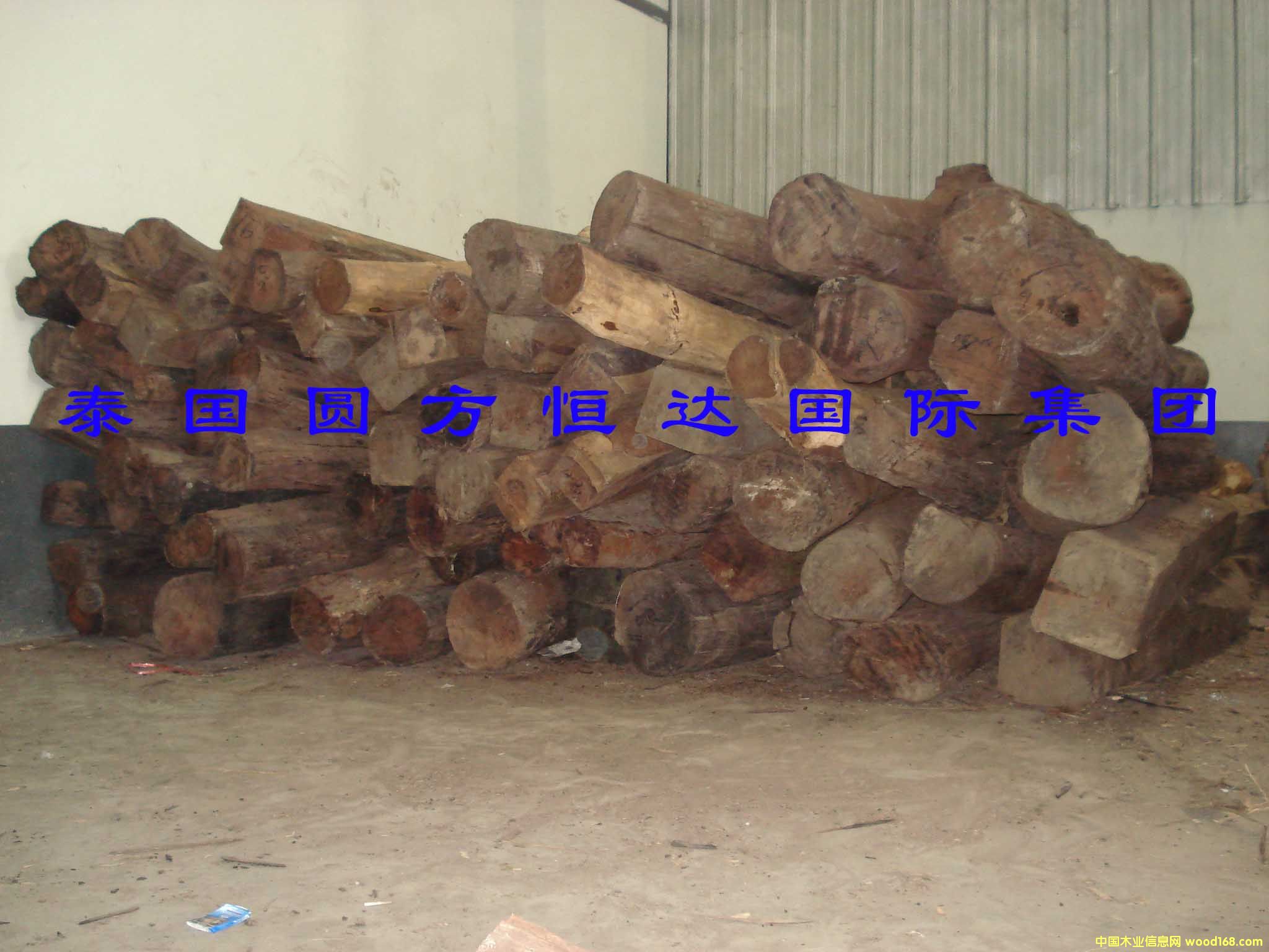 ��t��֦��Ԕ��(x��)��B