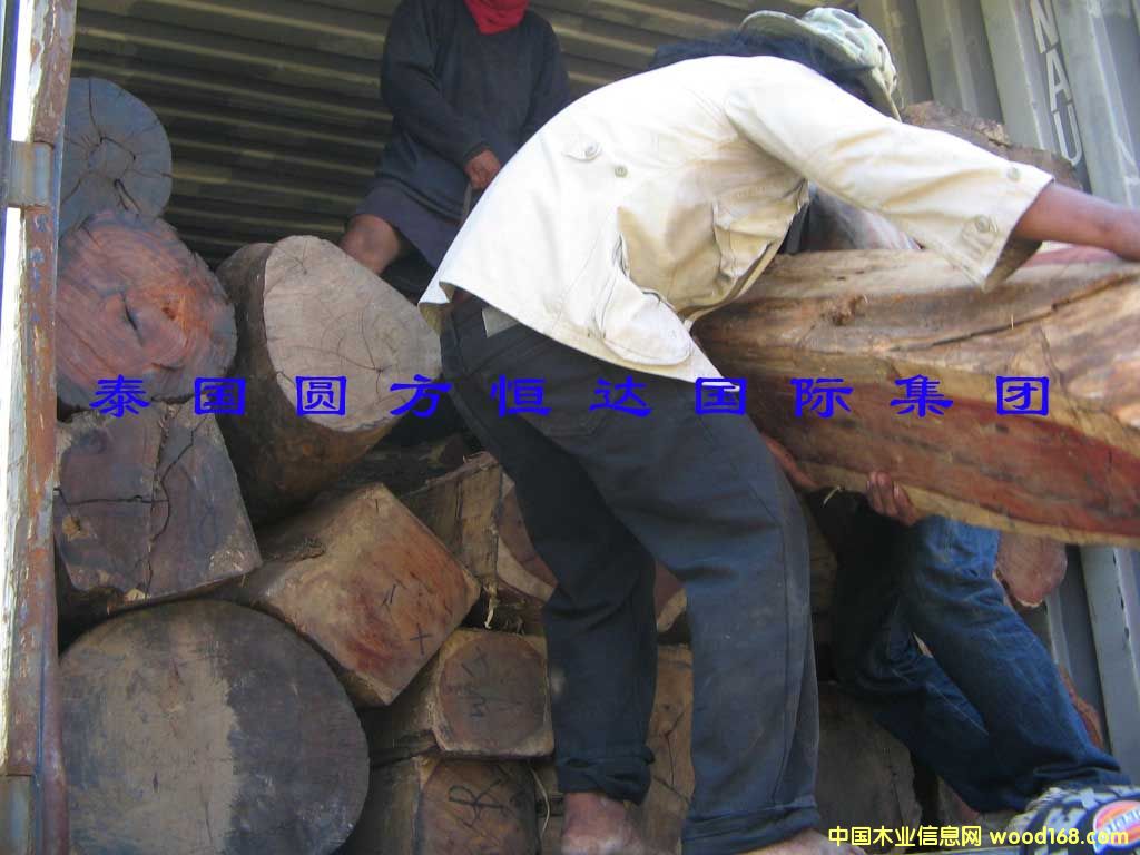 ��t��֦��Ԕ��(x��)��B