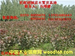 �c���鿴�t�~��Ŵ�DƬ