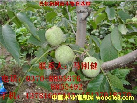 �c���鿴������Ŵ�DƬ