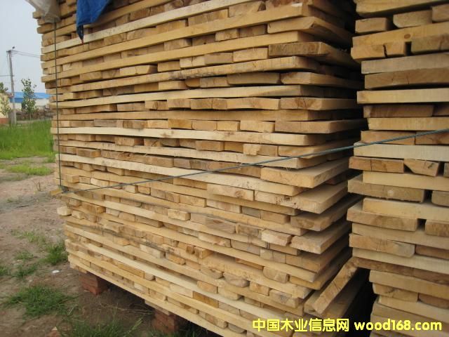 �c(di��n)���鿴��ľ�Ŵ�DƬ