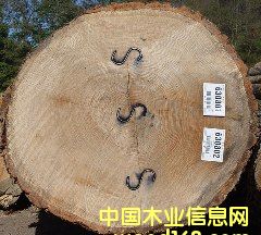 �c���鿴�Aľ���ɲŷŴ�DƬ