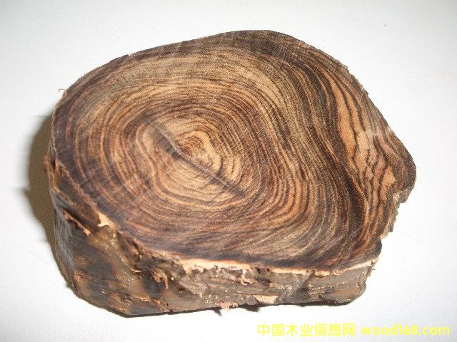 ���S̴��Ԕ��(x��)��B