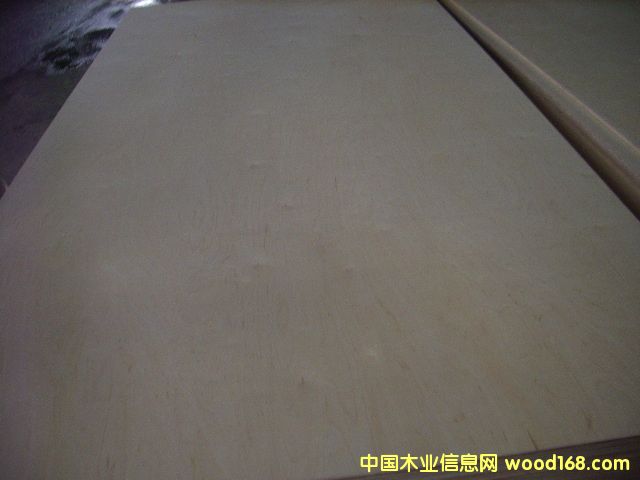 Ư�ט�ľ��Ƥ��Ԕ����B