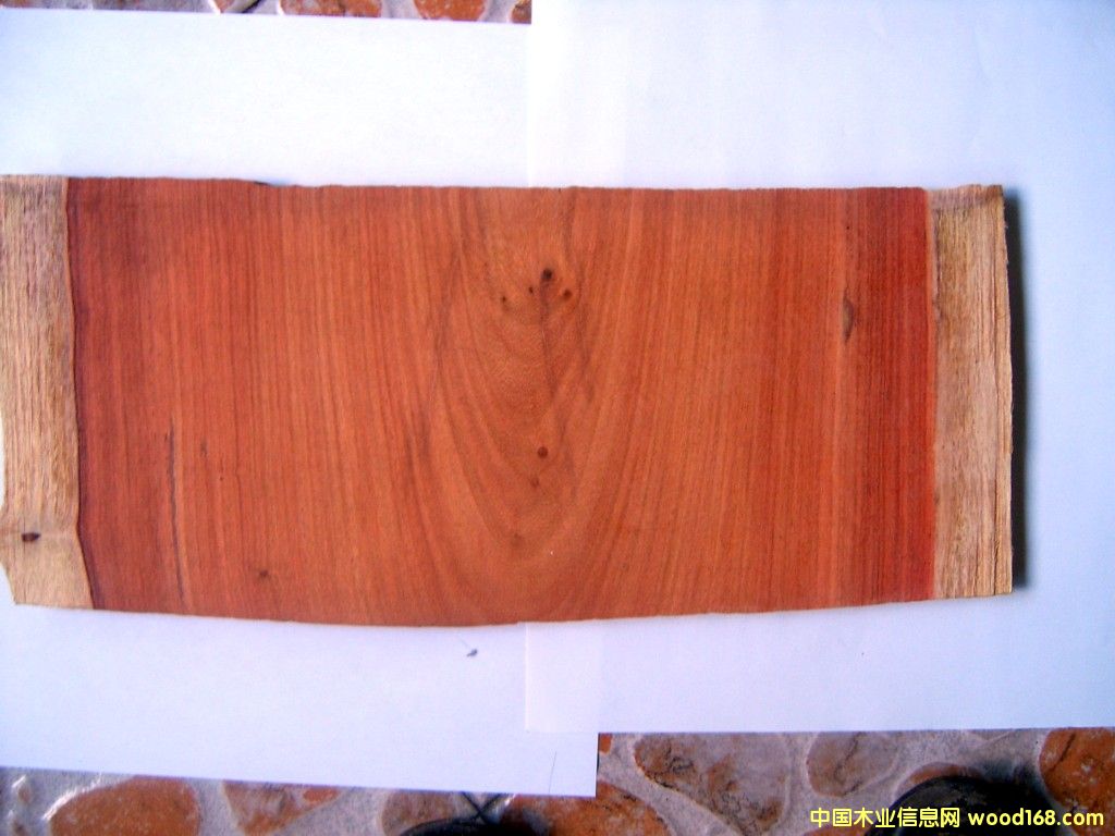 �c���鿴���������޼t̴�Ŵ�DƬ