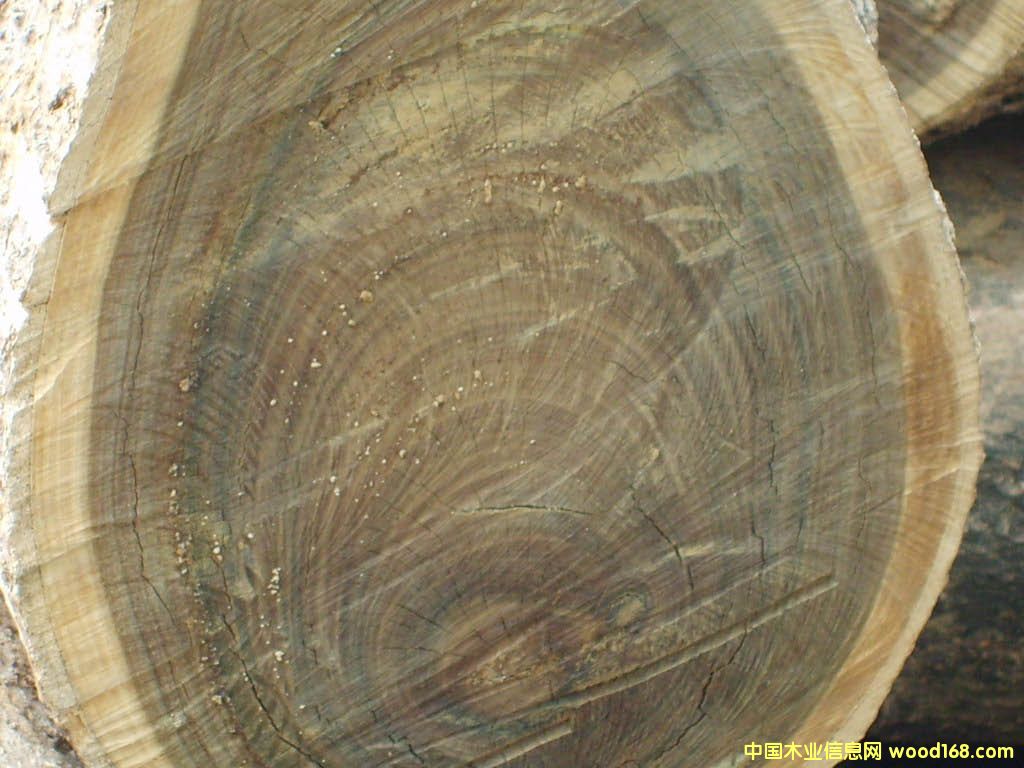 �c���鿴���������޾G̴�Ŵ�DƬ