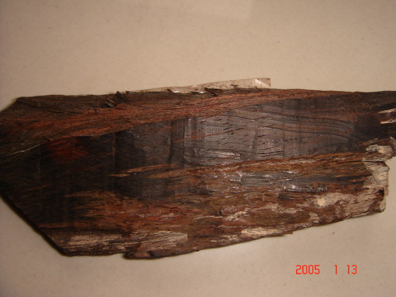 �ϓ�ţ��ľ��Ԕ��(x��)��B