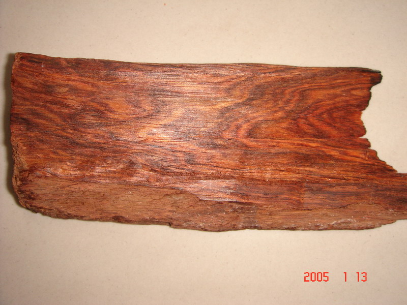 �ϓ��S�����Ԕ��(x��)��B