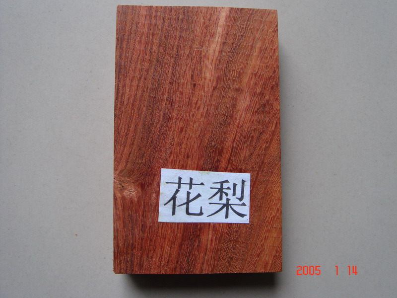 ���黨��ľ��Ԕ��(x��)��B