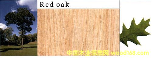 ���������Ԕ��(x��)��B