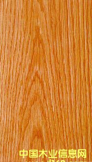 �����t���Ԕ��(x��)��B