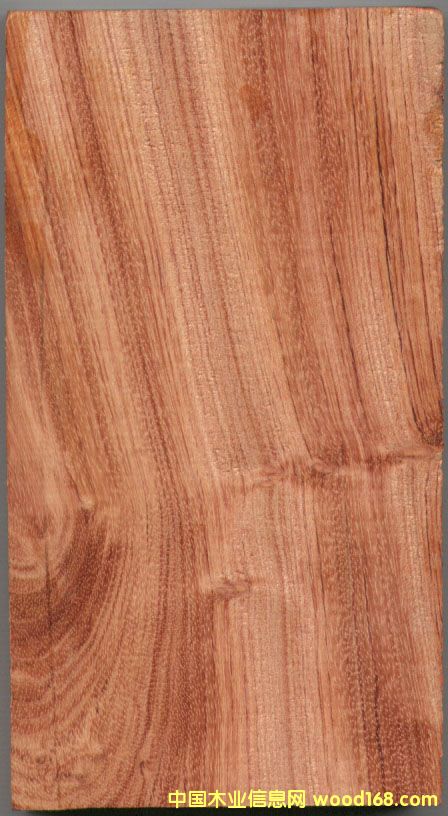 �c���鿴���޻���ľ�Ŵ�DƬ