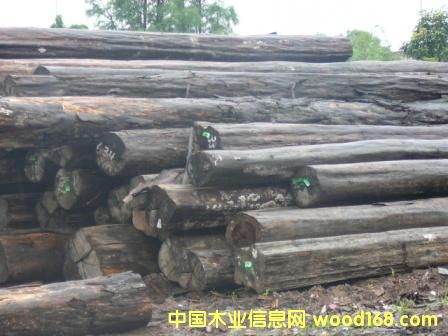 �c(di��n)���鿴�Fľ���Ŵ�DƬ