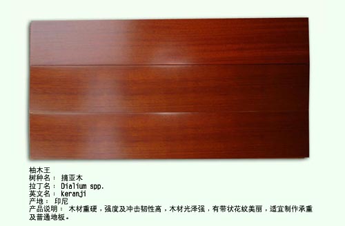 ��ľ��Ԕ����B