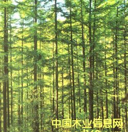 �c���鿴�ձ����~�ɷŴ�DƬ