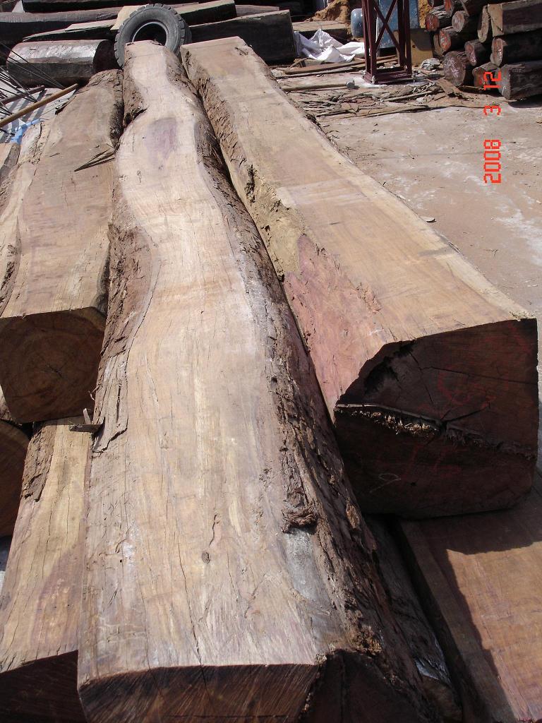 �������ϵ�Ԕ��(x��)��B