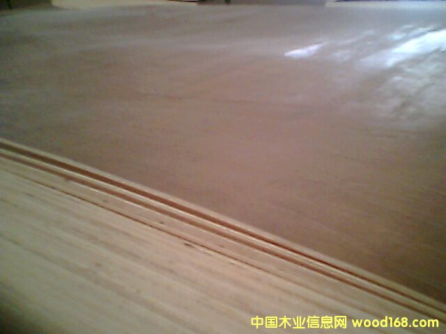 �һ�о����ϰ��Ԕ����B