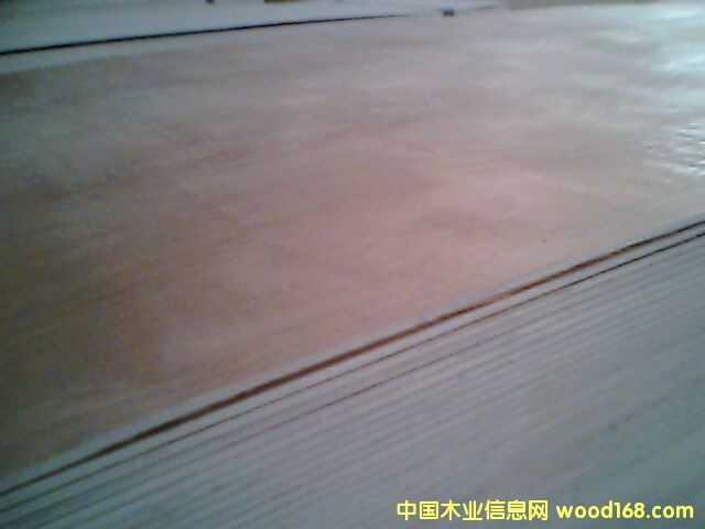 �һ�о���z�ϰ��Ԕ����B