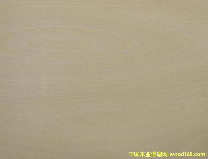 ���ľ�z�ϰ��Ԕ��(x��)��B