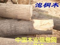 �c���鿴��ͩľ�Ŵ�DƬ