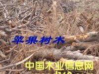 �c���鿴�O����ľ�Ŵ�DƬ