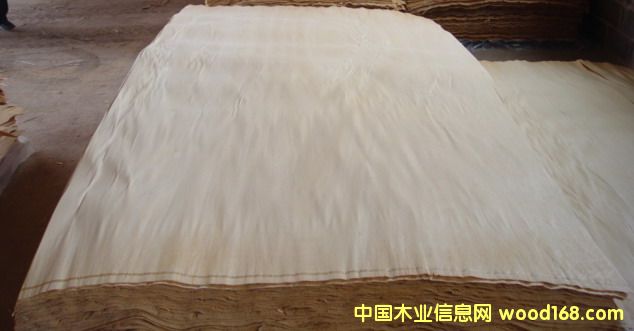 ��ľ���а��Ԕ����B