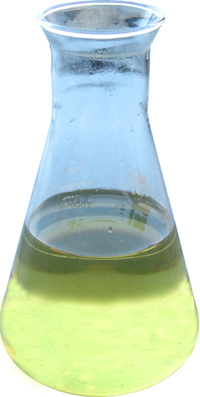 �c(di��n)���鿴���W(xu��)�ϳɌ�(d��o)���ͷŴ�DƬ