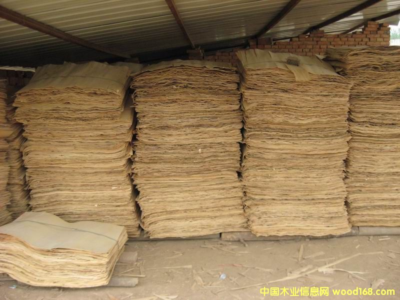 �c(di��n)���鿴��ľ�ľƤ�Ŵ�DƬ