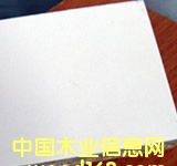 ��ɫ ������