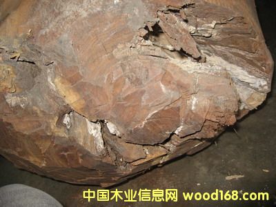 �c���鿴Ϭ����̴�Ŵ�DƬ