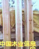 ɼľ��l��Ԕ����B