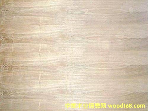 �������������Ԕ��(x��)��B