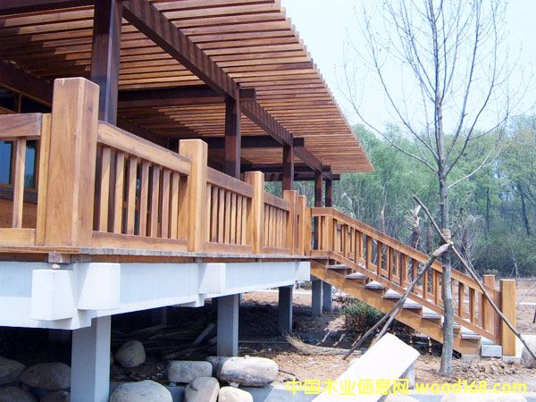 �c(di��n)���鿴���^ľ��8�Ŵ�DƬ