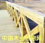 �c(di��n)���鿴���^ľ��8�Ŵ�DƬ