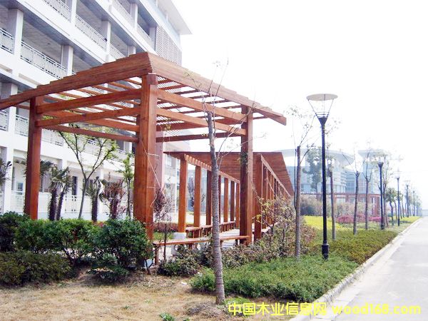 �c(di��n)���鿴���^ľ��8�Ŵ�DƬ