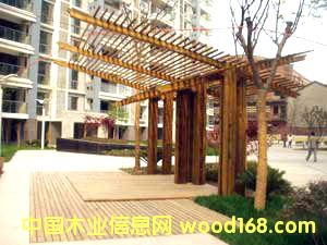 �c(di��n)���鿴���^ľ��8�Ŵ�DƬ