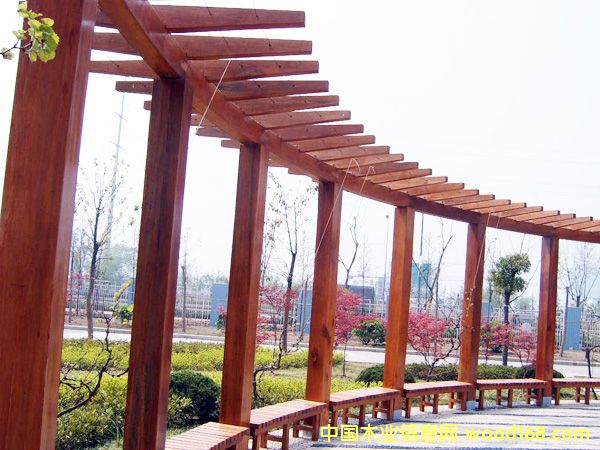 �c(di��n)���鿴���^ľ��8�Ŵ�DƬ