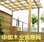 �c(di��n)���鿴���^ľ��8�Ŵ�DƬ