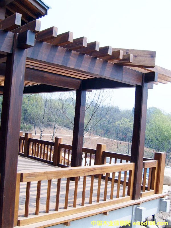 �c(di��n)���鿴���^ľ��8�Ŵ�DƬ