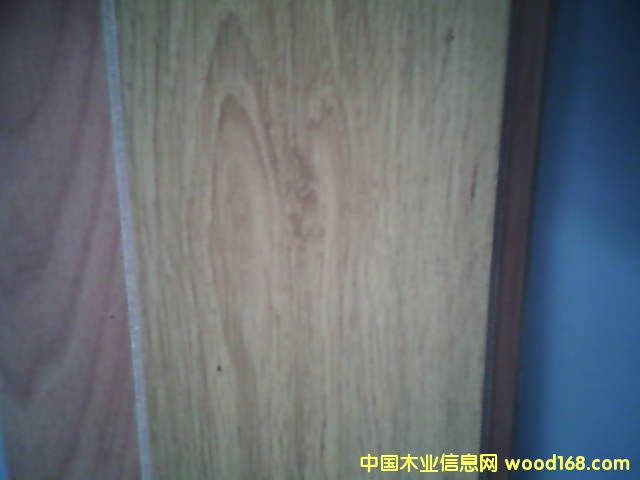 �����w�S��