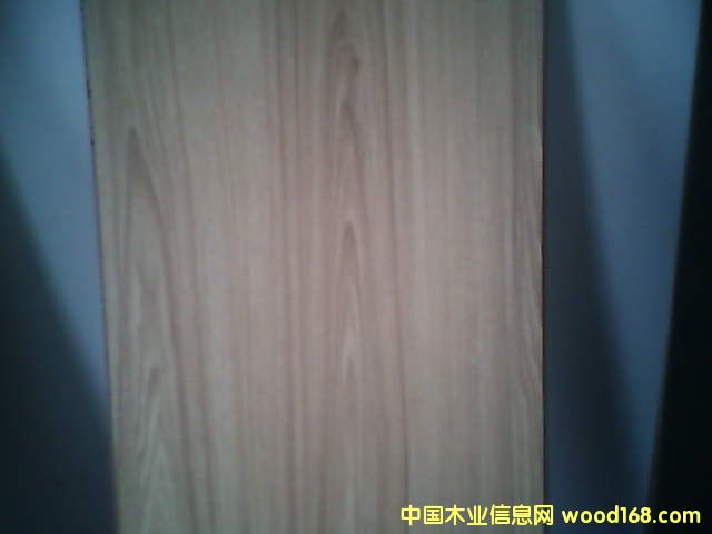 �����w�S��