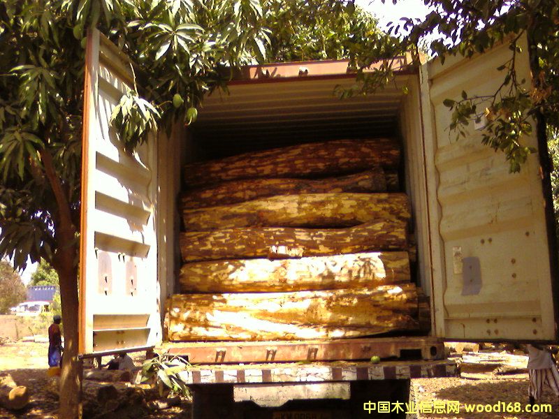 ԭľ1��Ԕ��(x��)��B