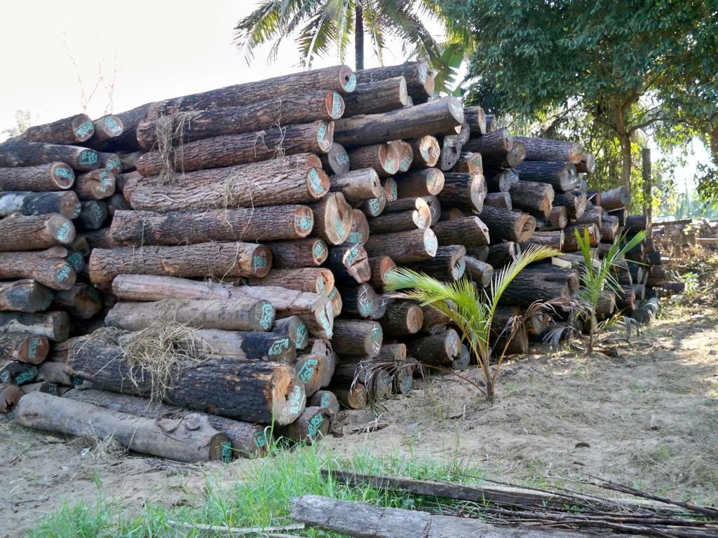 С�~�t̴��Ԕ����B