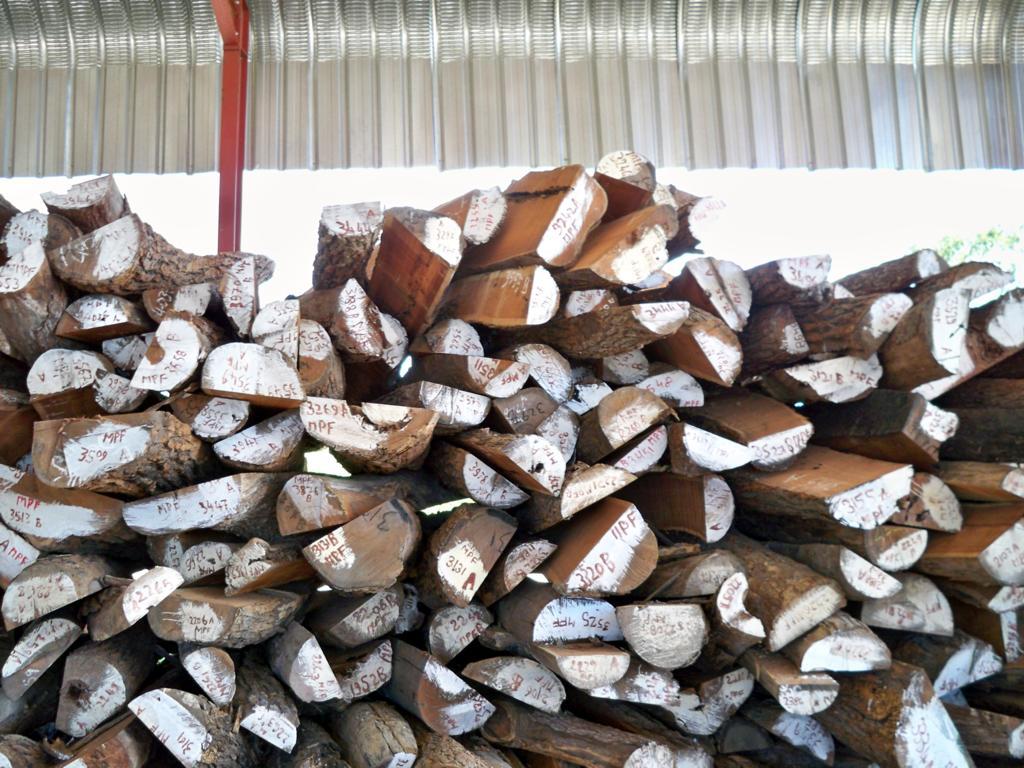 С�~�t̴��Ԕ����B