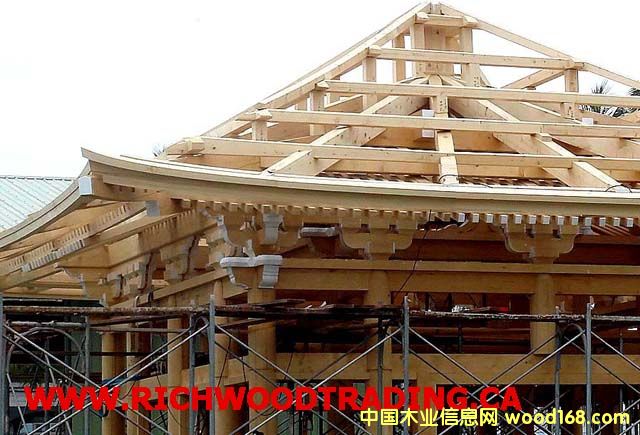 �����S�u (Cypress) / ������(c��)�� (Western��Ԕ����B