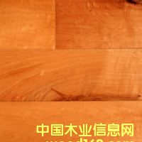 �c���鿴laminate flooring5�Ŵ�DƬ