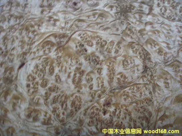 �����N����Ԕ��(x��)��B